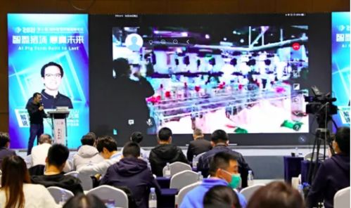 這一場國際智慧養(yǎng)豬落地盛宴 智盈豬場,慧贏未來