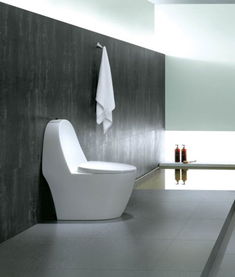 羅芬衛浴R8385坐便器價格、圖片及參數詳解